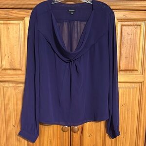 Long sleeve Sheer Purple Top
